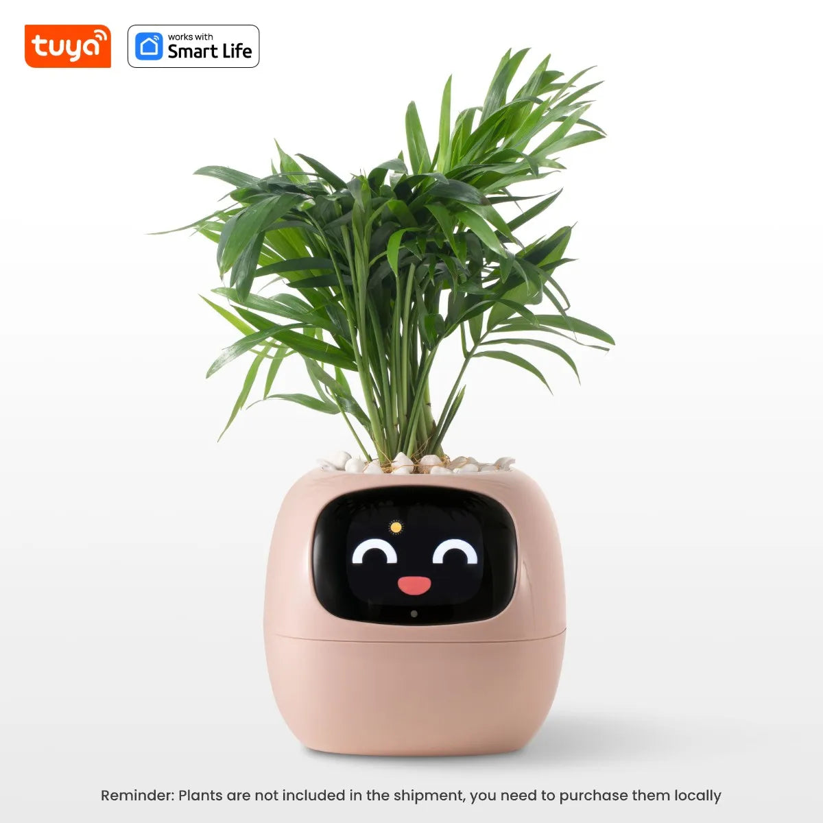 Intelligentes Pflanzen-Grow-System mit KI