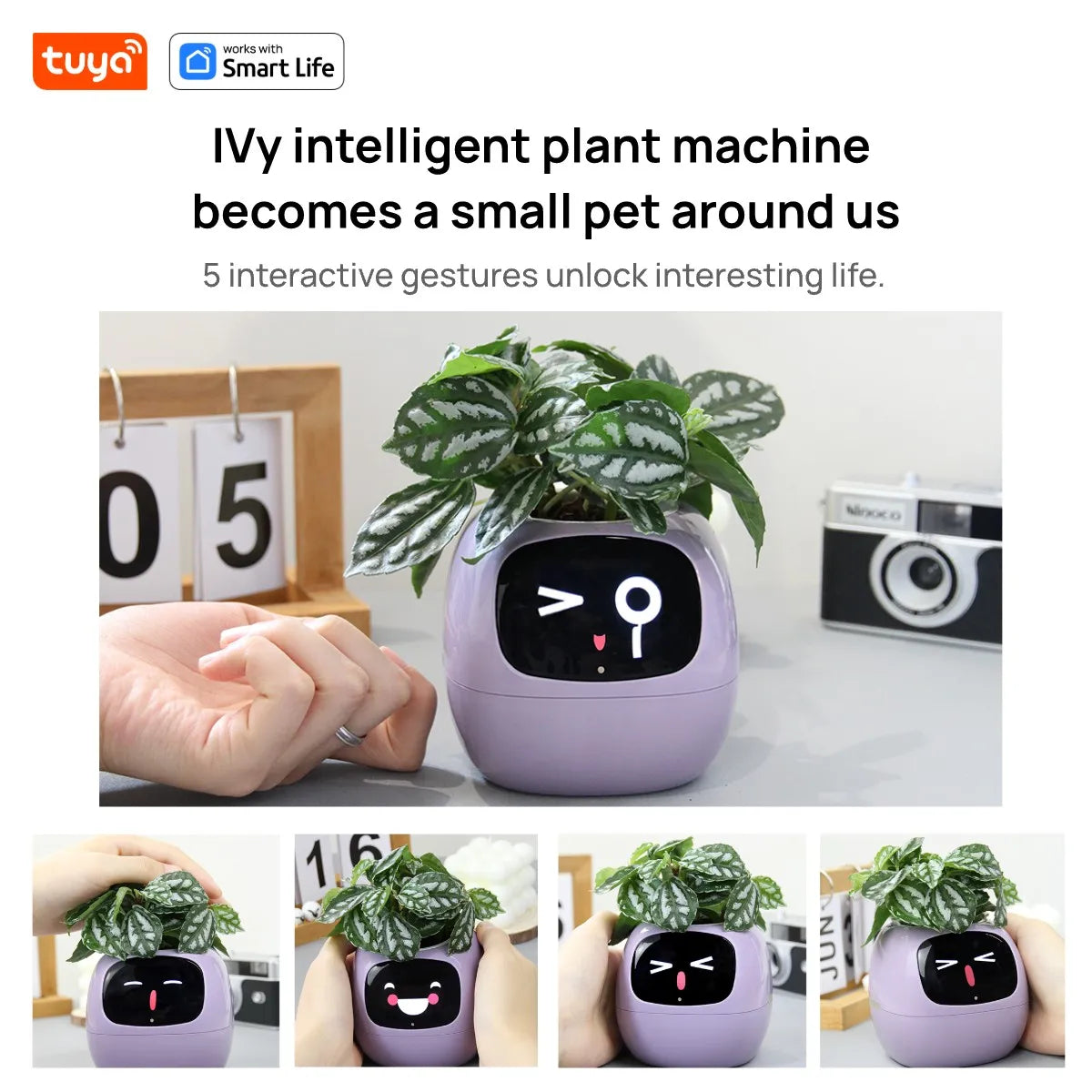Intelligentes Pflanzen-Grow-System mit KI
