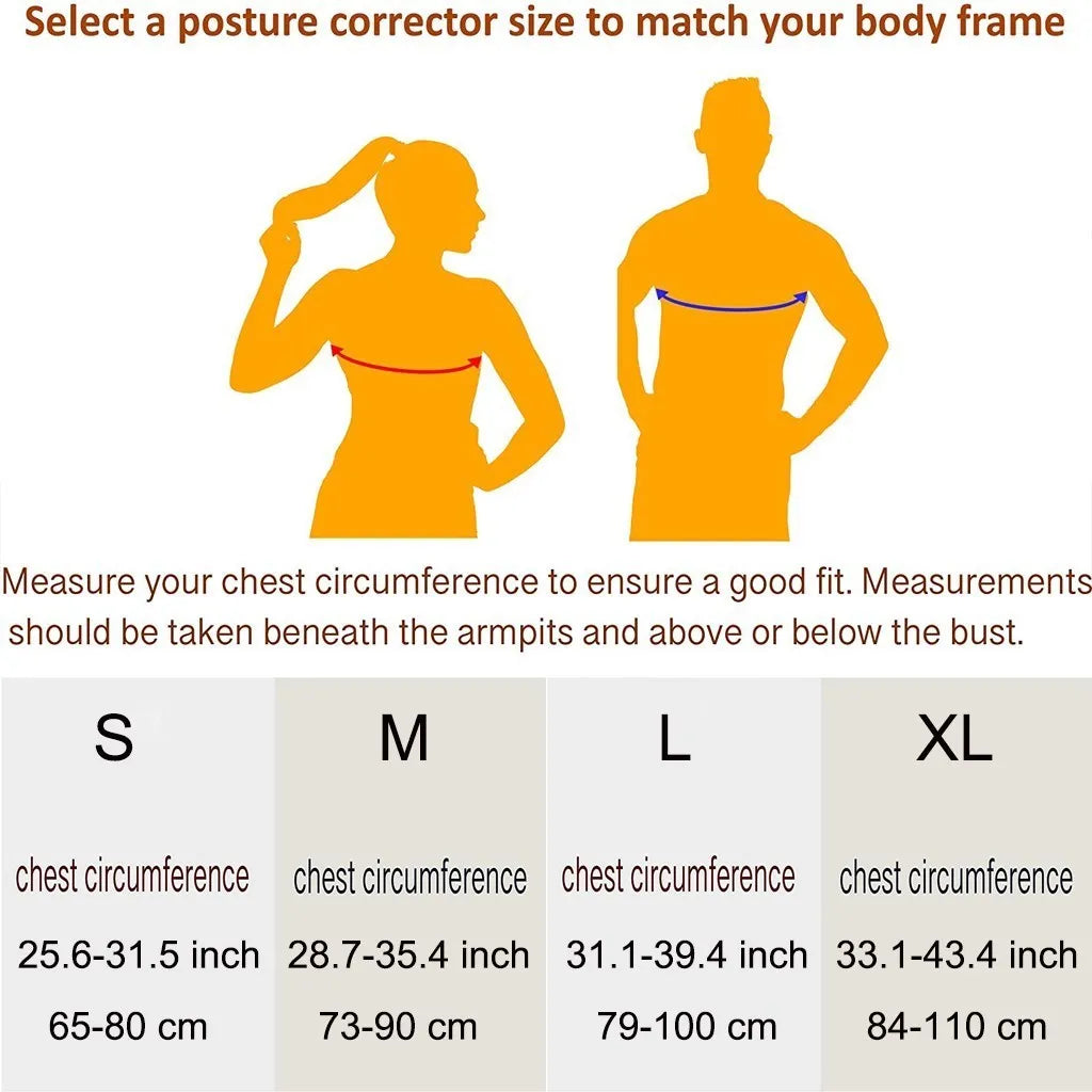 Ergonomische Rückenstütze für Männer, Frauen und Divers
