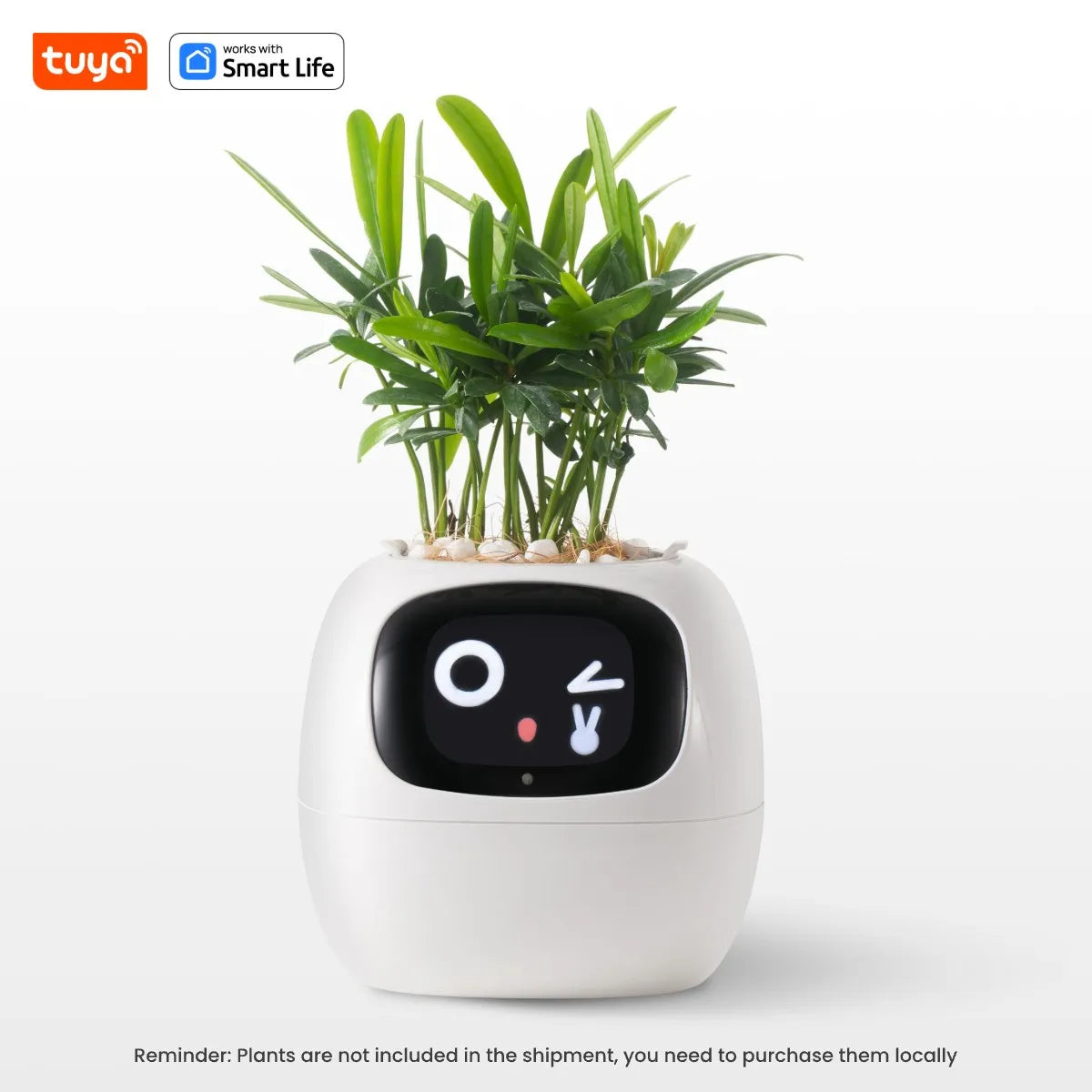 Intelligentes Pflanzen-Grow-System mit KI