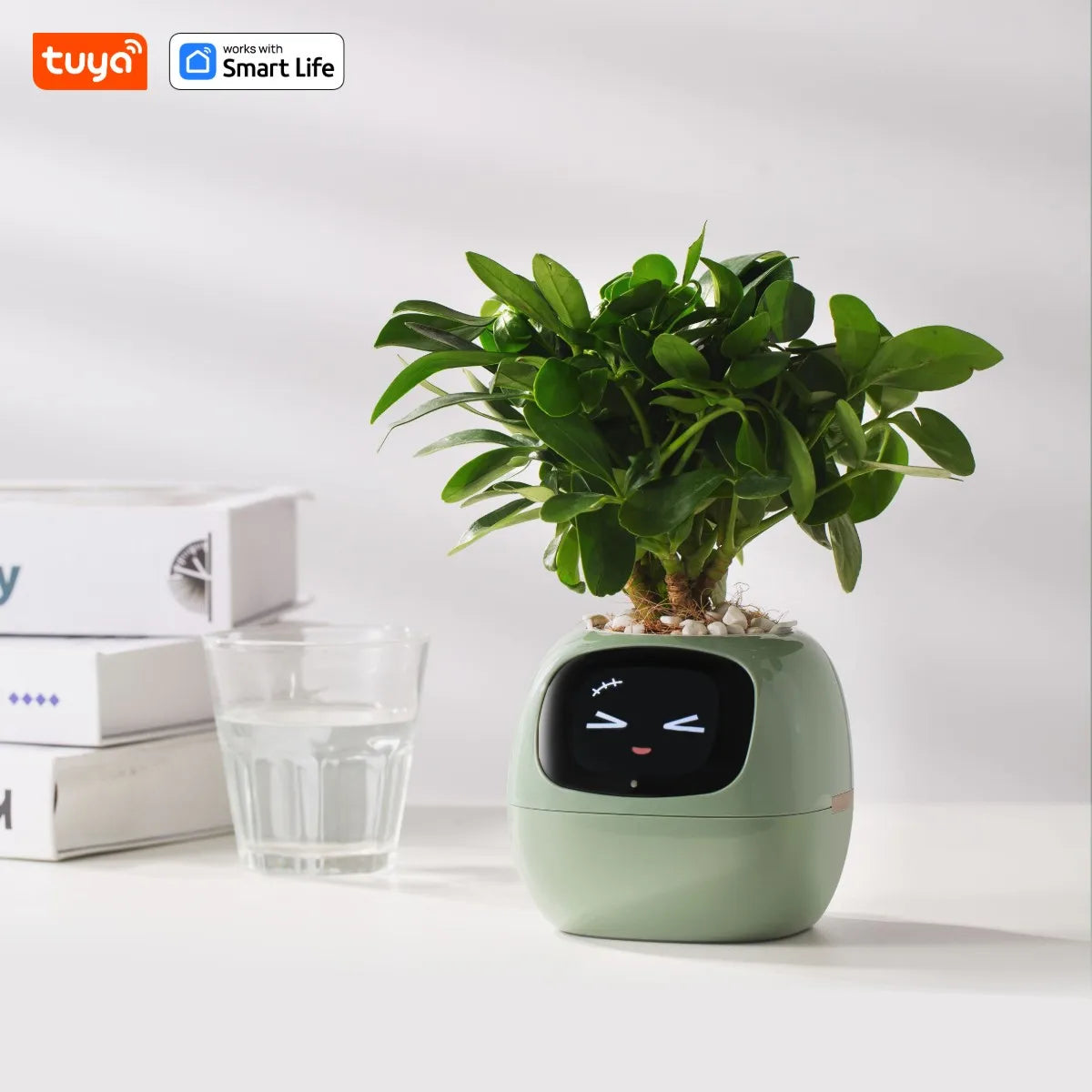 Intelligentes Pflanzen-Grow-System mit KI