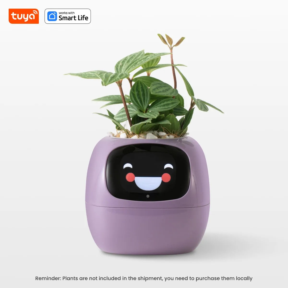 Intelligentes Pflanzen-Grow-System mit KI