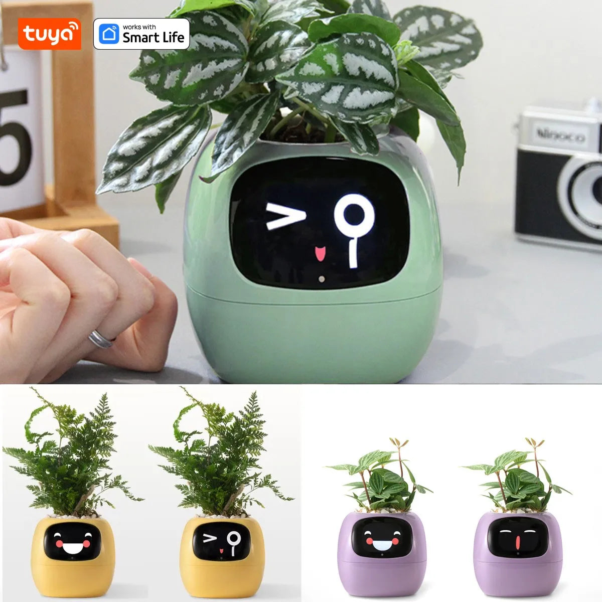 Intelligentes Pflanzen-Grow-System mit KI